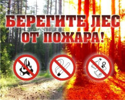 Введен особый противопожарный режим! Введен особый противопожарный режим!.